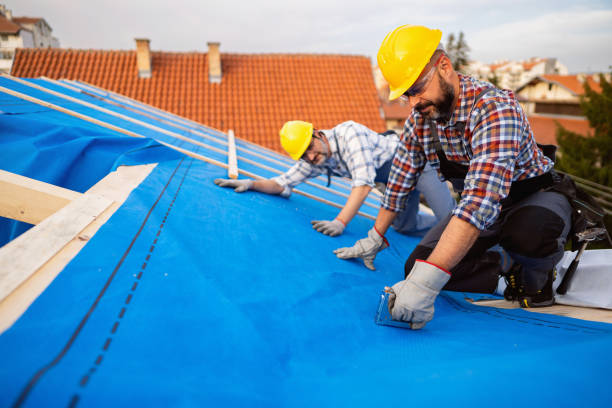 Best Flat Roof Repair Services  in Spring Lake, NJ